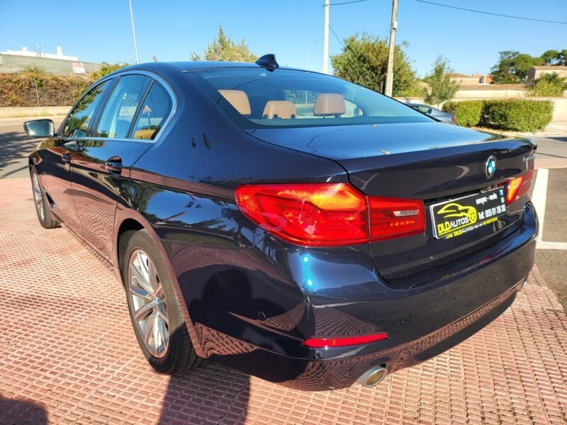 BMW Serie 5 520 DA
