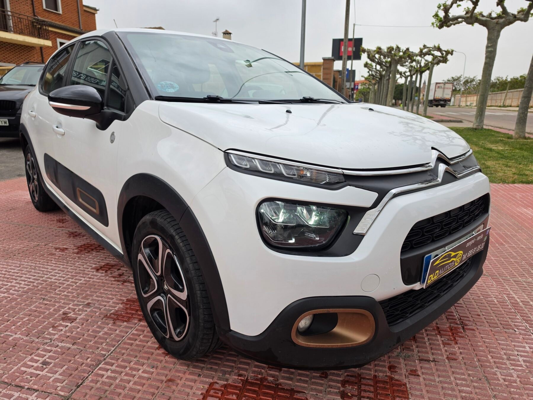 CITROEN C3 BlueHDi 75KW (100CV) S&S C-Series